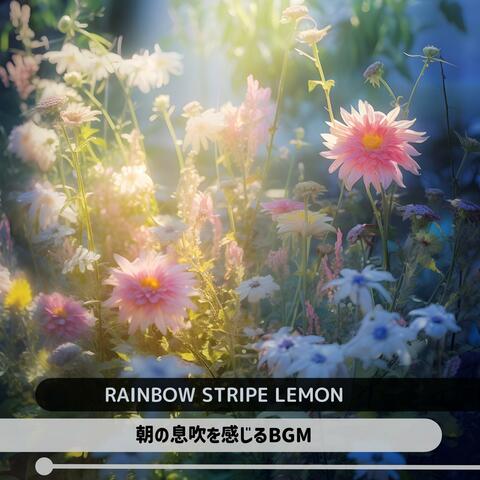 朝の息吹を感じるbgm