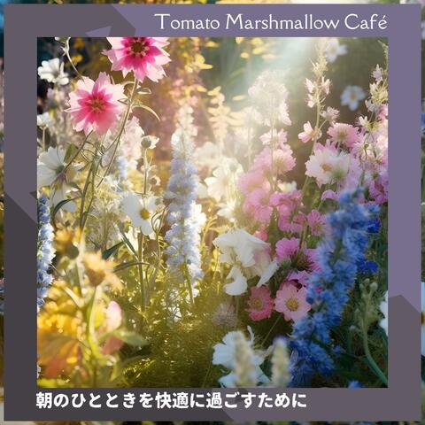 朝のひとときを快適に過ごすために