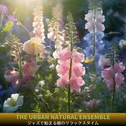 Harmony at Day's Commence