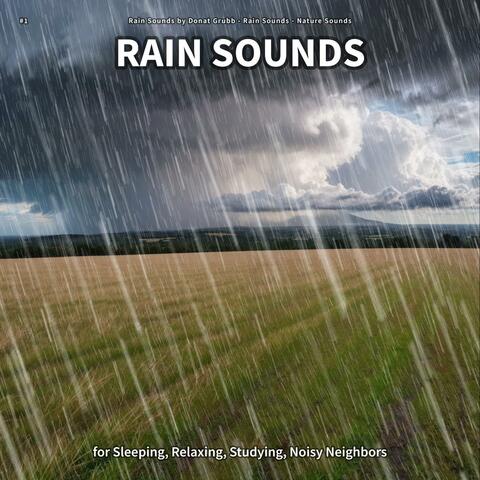 #1 Rain Sounds for Sleeping, Relaxing, Studying, Noisy Neighbors