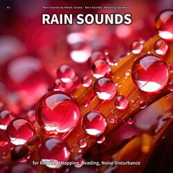 Rain Sound for Noise Reduction
