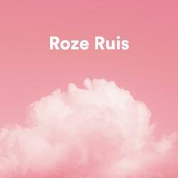Roze Ruis Voor Babyslaap