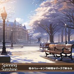 Winter Solstice Beauty