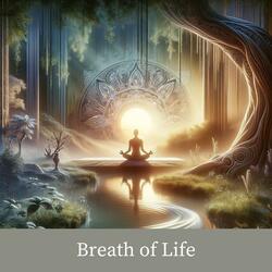 Soothing Soundscape