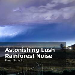 Rhythmic Lush Woods