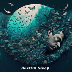 Deep Rest Guide