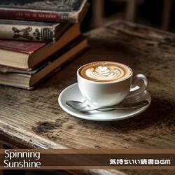 Plotting the Novel, Plotting the Story