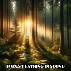 Frequency Music for Sleep and Healing