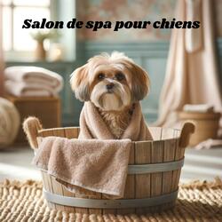 Traitements de beauté pour animaux de compagnie