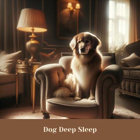 Dog Deep Sleep: Soothing Music for Dogs to Calm Down, Relax & Sleep