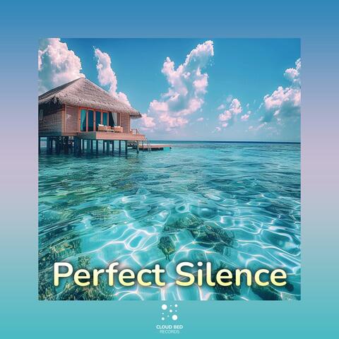 Perfect Silence