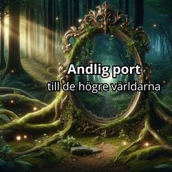 Tack för att du släpper in mig
