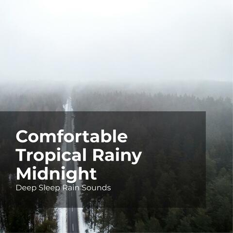 Comfortable Tropical Rainy Midnight
