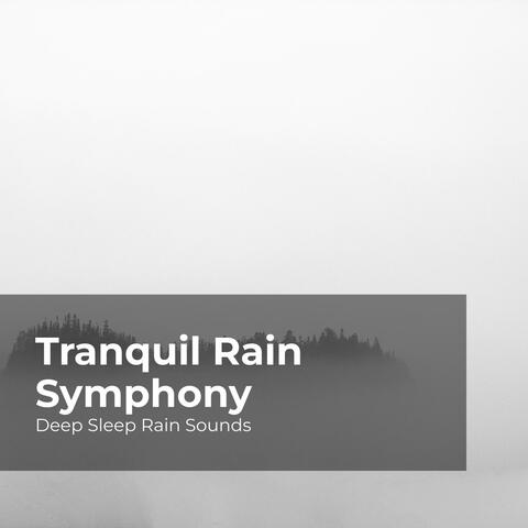 Tranquil Rain Symphony