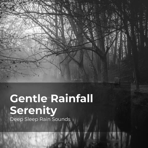 Gentle Rainfall Serenity