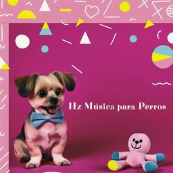 Ayuda a tu cachorro a conciliar el sueño