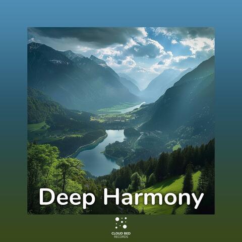 Deep Harmony