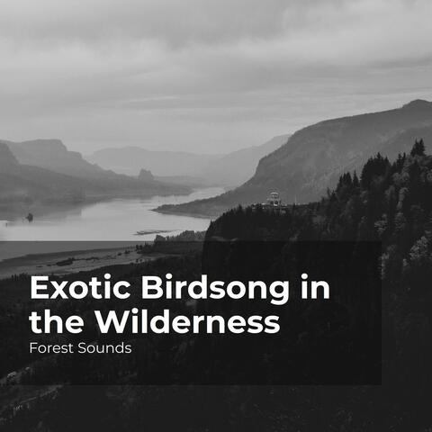 Exotic Birdsong in the Wilderness