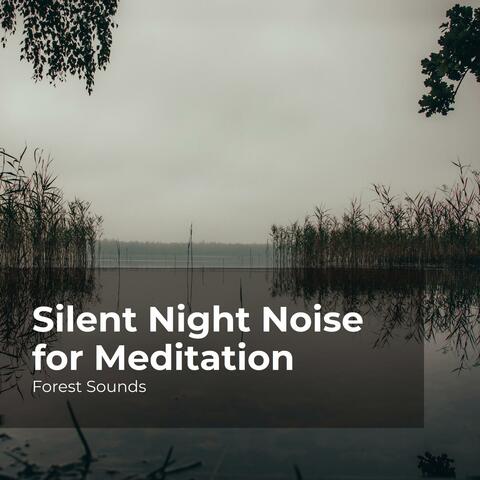 Silent Night Noise for Meditation