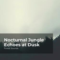 Lush Jungle Campsite