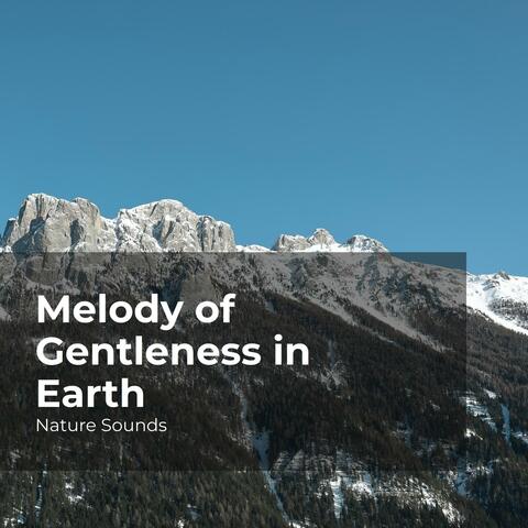Melody of Gentleness in Earth