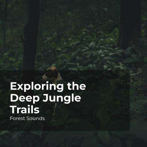 Exploring the Deep Jungle Trails