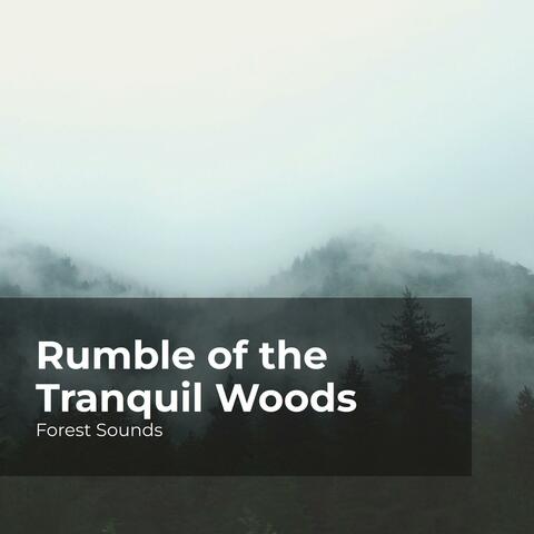 Rumble of the Tranquil Woods