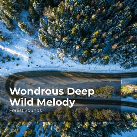 Wondrous Deep Wild Melody
