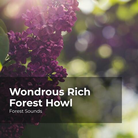 Wondrous Rich Forest Howl