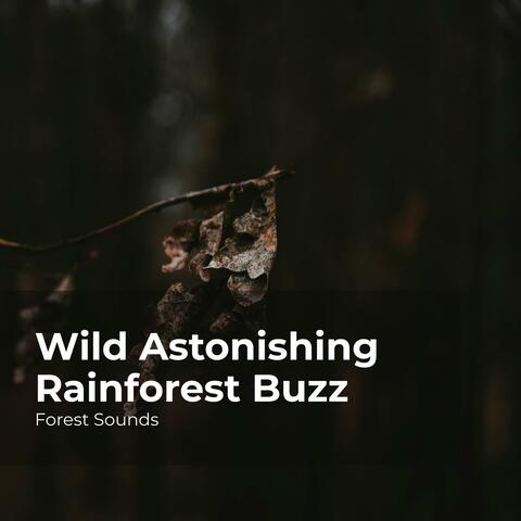 Wild Astonishing Rainforest Buzz