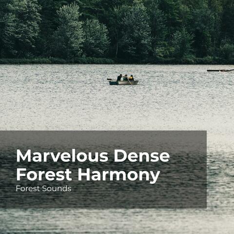 Marvelous Dense Forest Harmony