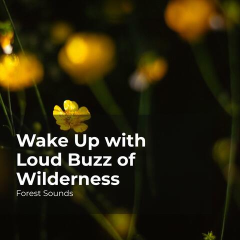 Wake Up with Loud Buzz of Wilderness