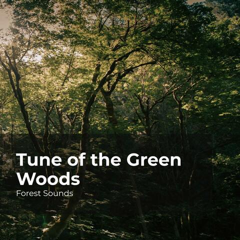 Tune of the Green Woods