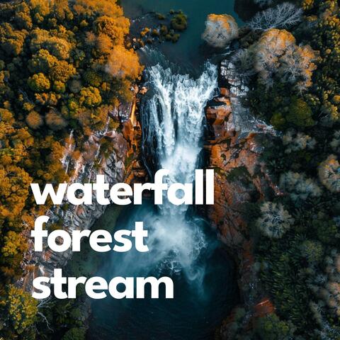 Waterfall Forest Stream