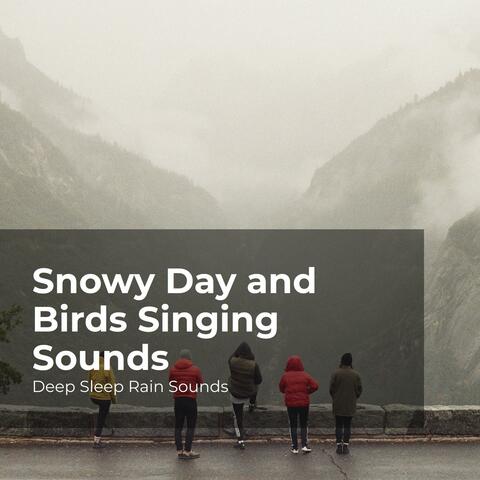 Snowy Day and Birds Singing Sounds