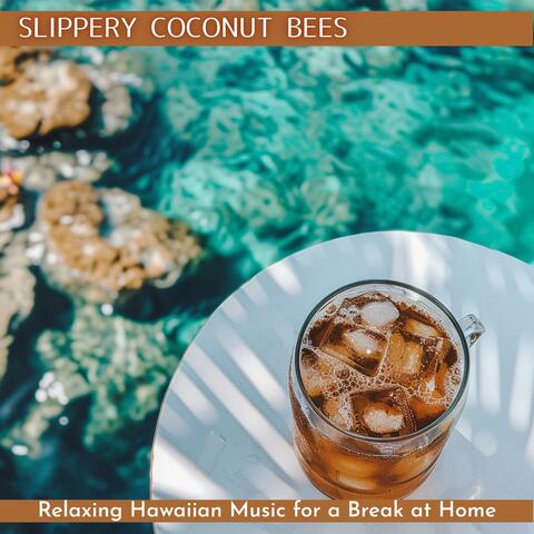 Relaxing Hawaiian Music for a Break at Home