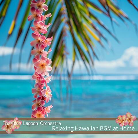 Relaxing Hawaiian Bgm at Home