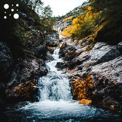 Distant Owl’s Song