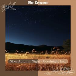 Night Breeze Jazz Shimmers