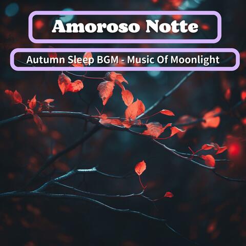 Autumn Sleep Bgm-Music of Moonlight
