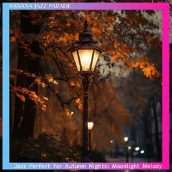 Night's Serenade in Fall's Colours