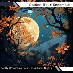 Soothing Night's Warmth