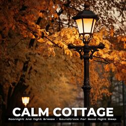 Woodland Cosmos Crescendos