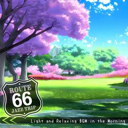 Morning Radiance Serenade