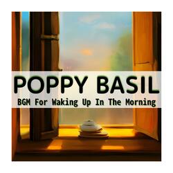 Savoring the Sunshine