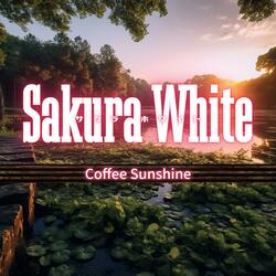 Soothing Moments Cascade