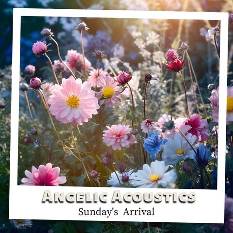 Sunday's Arrival