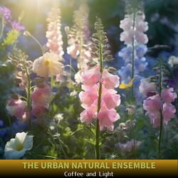 Morning, Coffee and You