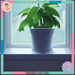 Calm Daybreak Overture