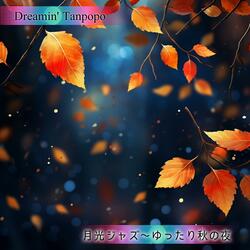 Rainy River Reflections